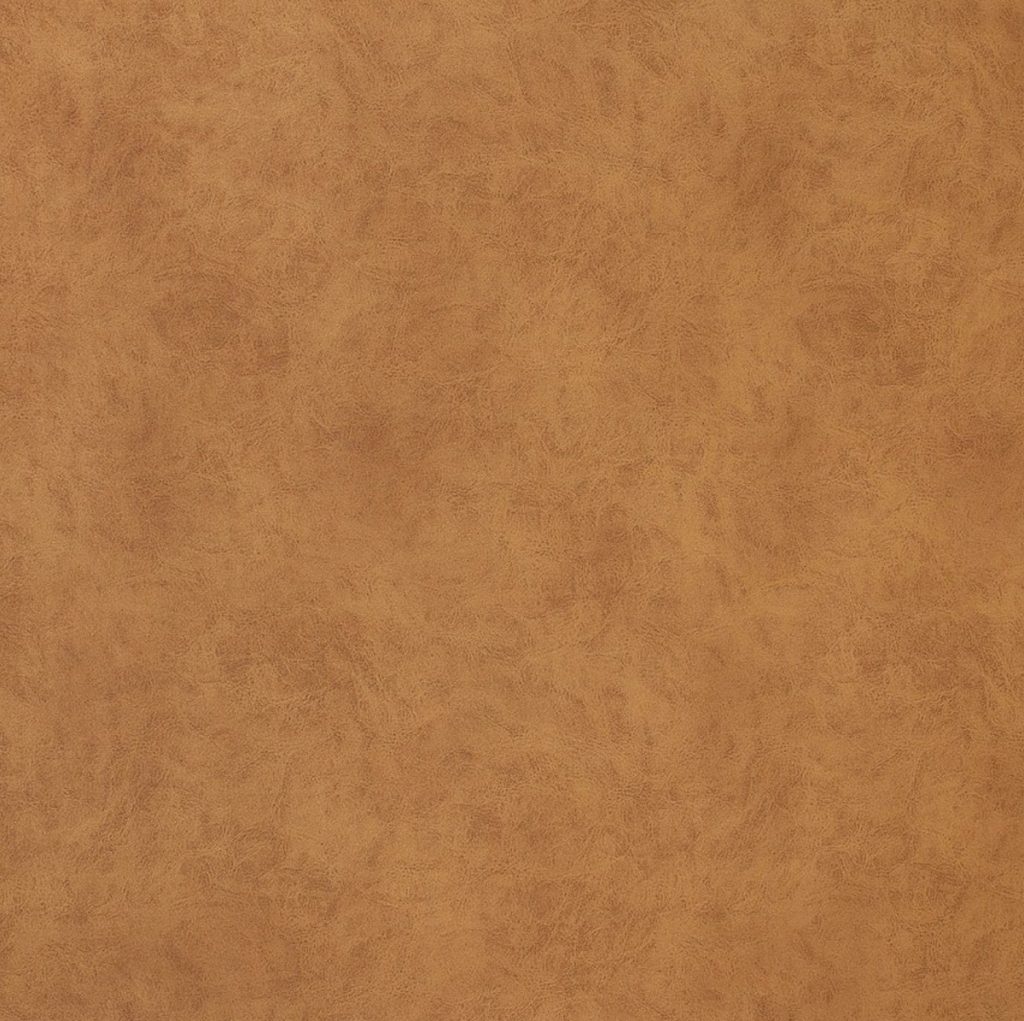 goya06