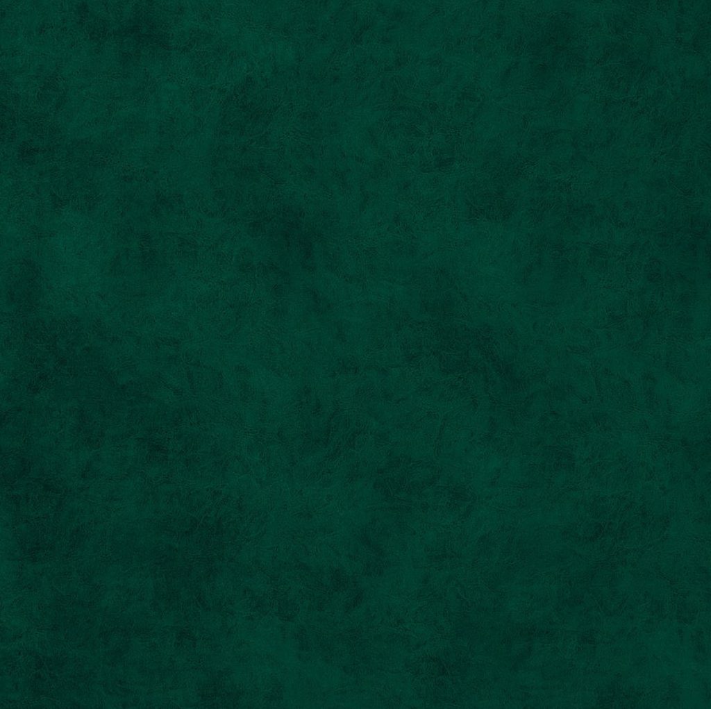 goya11